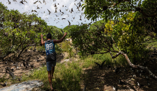 Slight progress in global biodiversity protection efforts