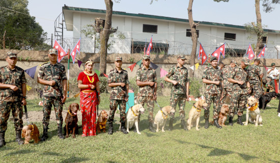 Dogs worshiped: Kukur Tihar celebrated