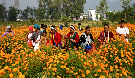 Laxmi puja performed at Gorkhapatra Corporation