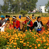 Glimpses of Laxmi Pooja (Photo Feature)