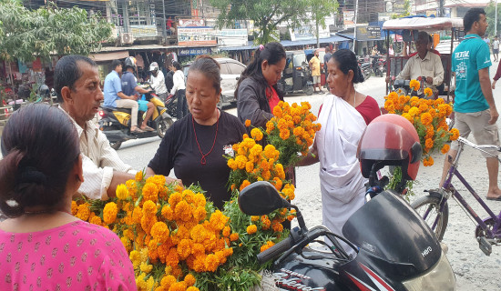 Buying Marigold flowers for Tihar