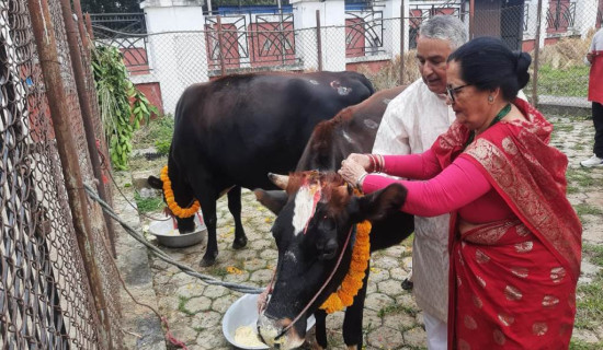 President Paudel performs Gai Puja