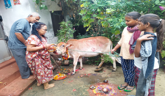 Cow worship observed ritually across the country