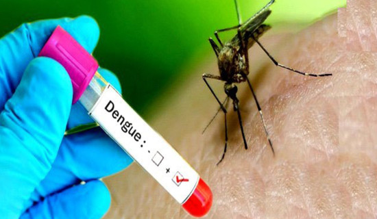 Dengue infection decreasing