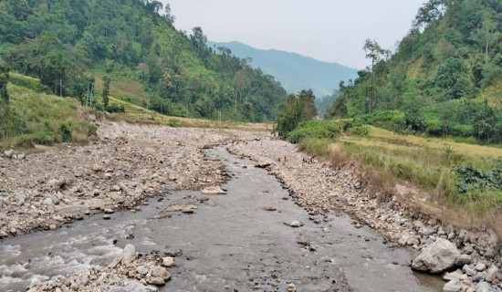 Community forest users rue over lack of market for lemons