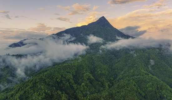 Officials, experts call for high-quality construction of national parks