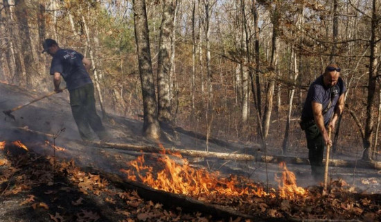 2024 to be warmest year on record, UN says