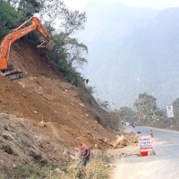 Festival in jungle drives rhino  to settlements