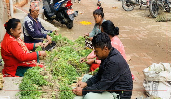 Farmers making bunch of greens for sale