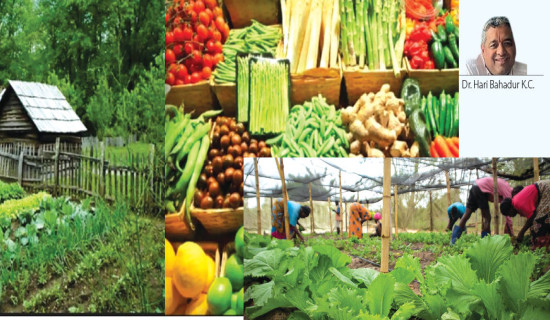 Promotion Of Organic Agriculture