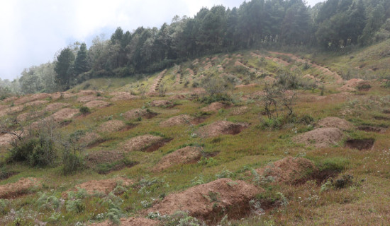 Recharging ponds on hilltop for spring water