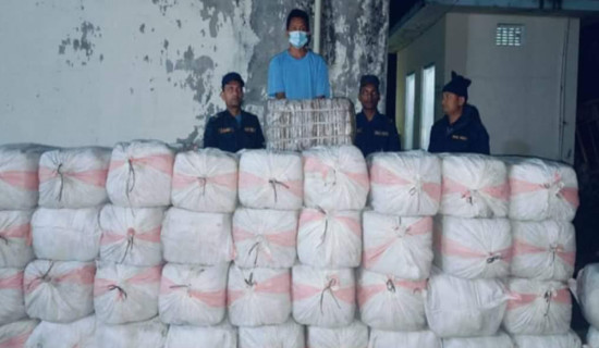 17 quintals marijuana confiscated