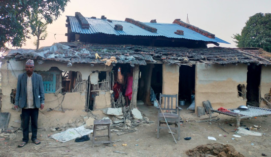 Elephant herd damages house in Laljhadi