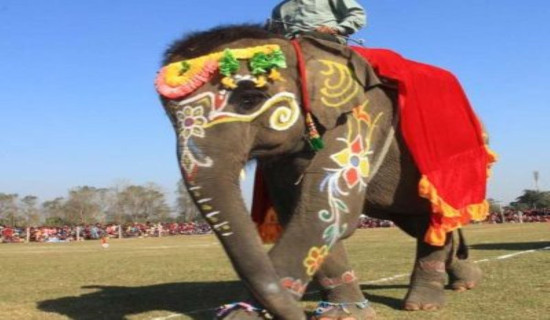 Chitwan Elephant and Tourism Festival from December 26