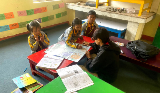 Students of Tribeni Secondary School busy with strawberry cultivation