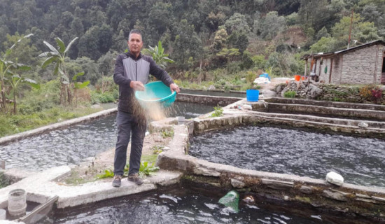 Retired policeman making handsome income from rainbow trout fish trade