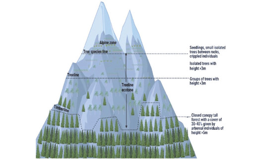 Rising temperatures pushing treelines up