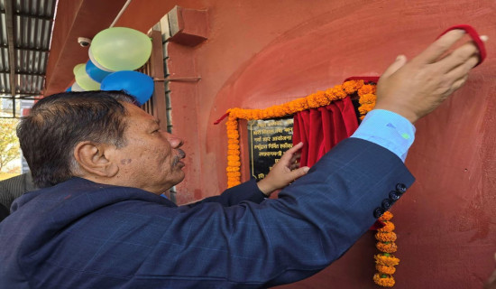 Political stability prerequisite to development: DPM Singh