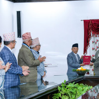 RPP Nepal urges government to form Terai-Madhesh Integrated Authority