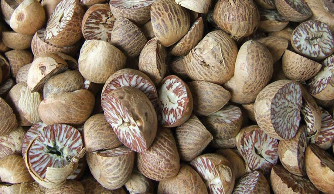 DNA testing uncertainty leaves betel nut export in limbo