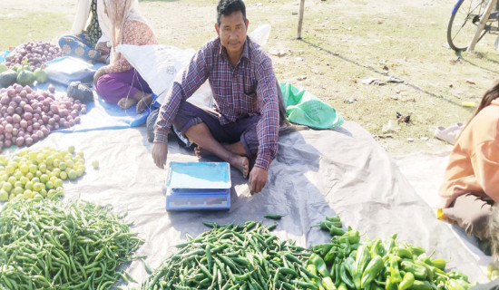 Chili farmer's farm fund makes son engineer in family