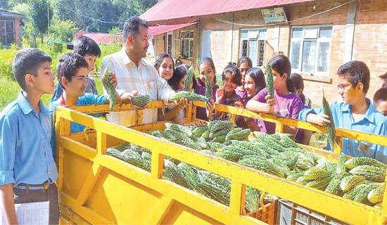 Greening Education For Sustainable Future