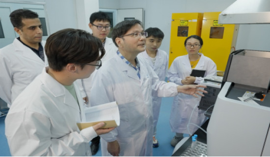 Chinese scientists extract cancer-fighting nuclides from rare earth minerals