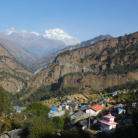 Huge cache of cannabis seized in eastern Nepal