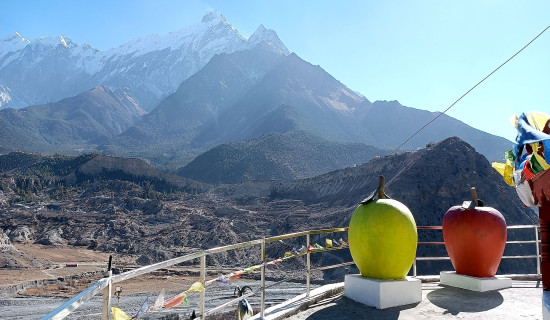 Sculpture of Apple in Mustang