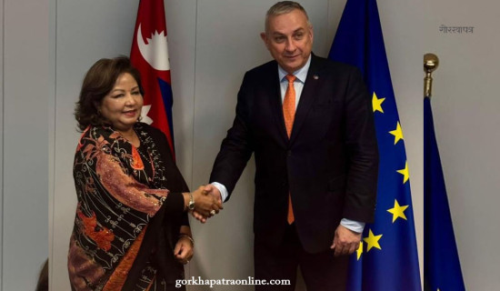 Foreign Minister meets with EU officials