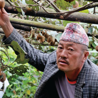 83-year-old attempts Mt. Dhaulagiri for 13th time