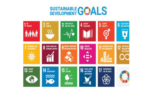 ‘Significant achievements made in SDGs’