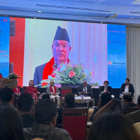 Vice President Yadav at Finland Independence celebrations