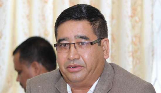 Minister Shrestha raises air entry point issue with India