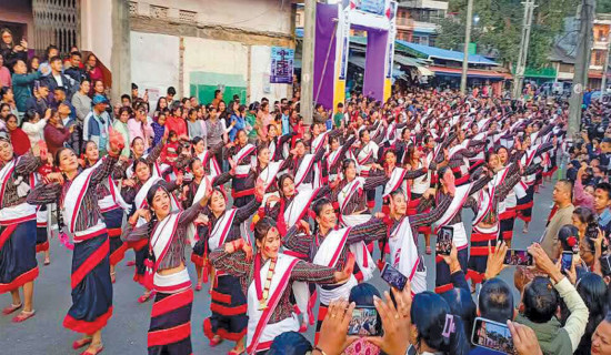 Over 200 artists play Dhime Baja and perform dance in Dharan