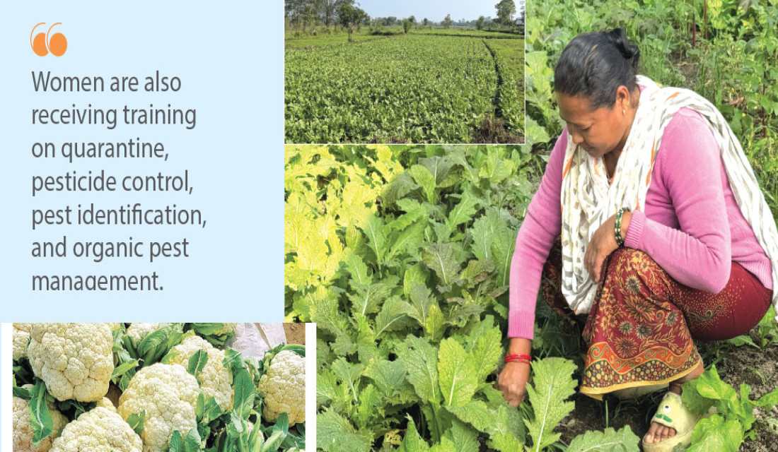 Shifting Nepali Farms As Men Migrate