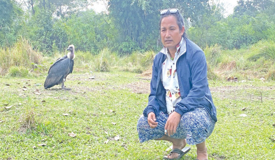 Yam Bahadur feeding vultures for 19 years