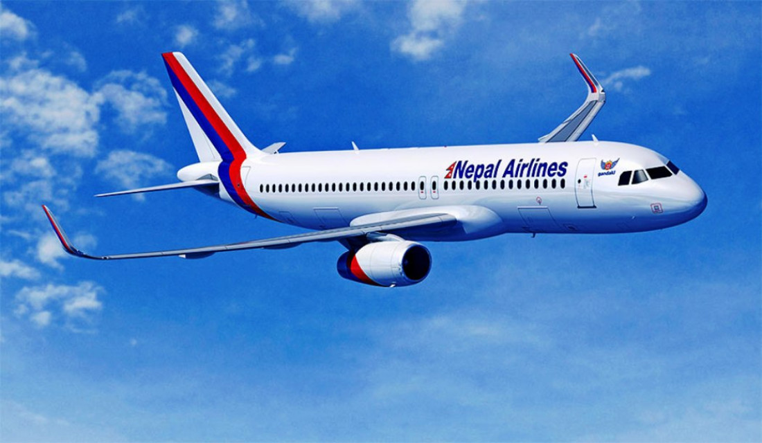 NAC's domestic flights come to a halt