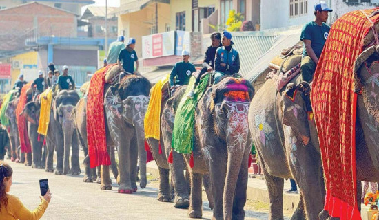 Elephant Festival kicks off in Chitwan