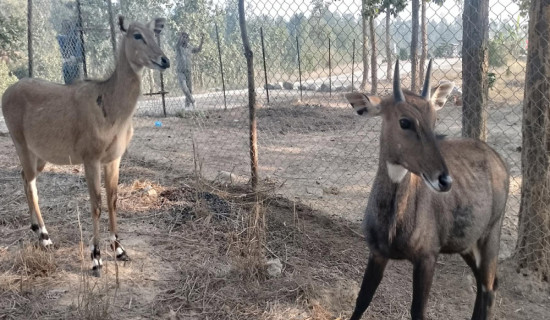 Wildlife rescue, treatment and rehabilitation centre established