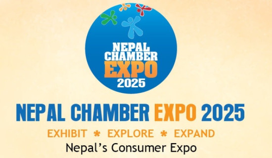 8th Chamber Expo