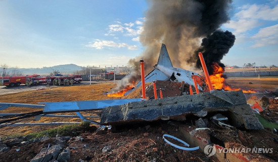 Bird strike warning issued shortly before Jeju Air plane crash in South Korea