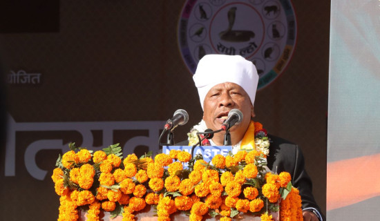 All communities have freedom to celebrate their culture and traditions: DPM Singh