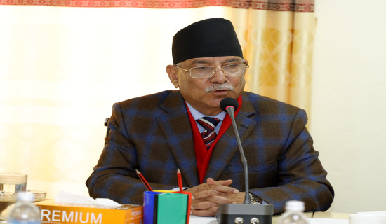 Chair Prachanda urges to take action against the guilty of Shera Durbar land scam