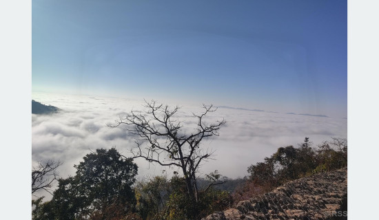 Birendranagar covered in fog