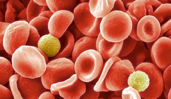 Scientists identify new blood group after 50 year mystery