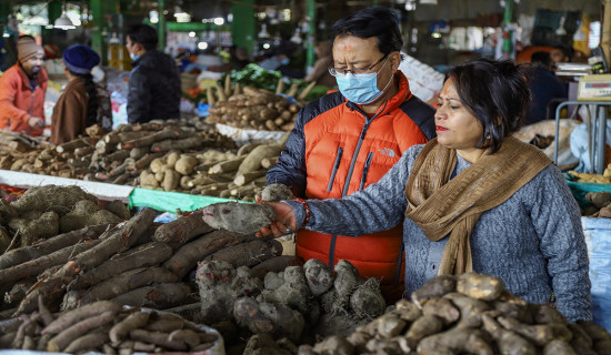 Yams for Maghe Sankranti: In pictures