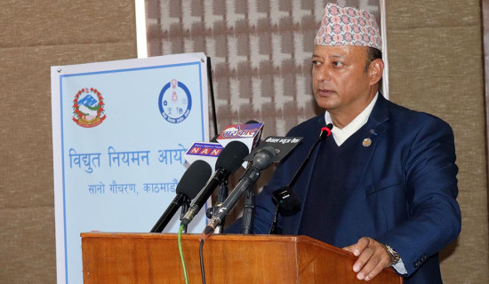 Bagmati Action Plan to be implemented in nature-friendly manner: DPM Singh