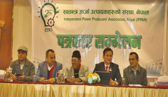 IPPAN welcomes energy roadmap, demands policy reforms