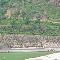 Saplings planted in world heritage site Soyambhu